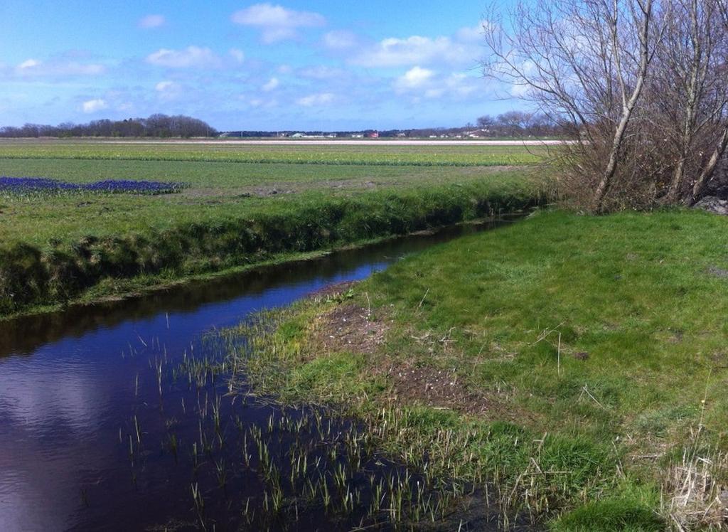 Strand49 Glamping Sint Maartenszee Sint Maartensvlotbrug Dış mekan fotoğraf